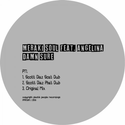 Meraki Soul, Angelina – Damn Sure, Pt. 2 [PPR18B]